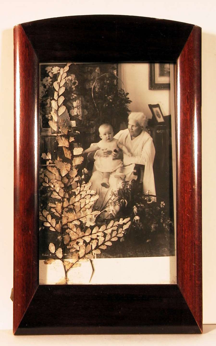 Fotografi fra stue med flere store blomsterdekorasjoner i midten en gammel dame sittende i hvit kjole i en armstol  med et lite barn på fanget; 80årsdagen.
Lagt inn mellom fotografi og glass er en presset plantekvist.
