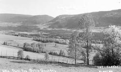 Parti fra Østre Gausdal. Ent. Elstad, Ringebu