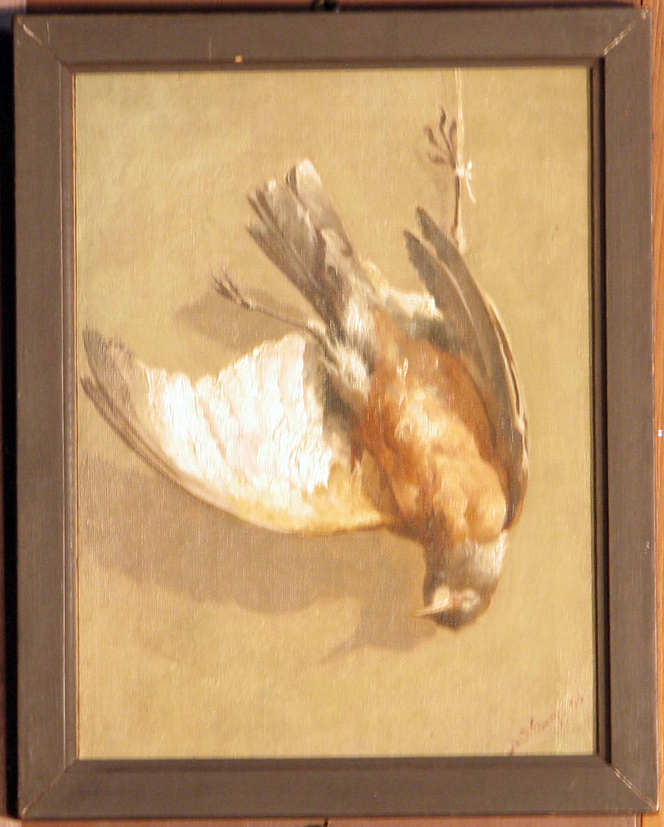 Rektangulært. Stilleben; fugl henger e. benet; rødbrunt bryst, hvite og grå vinger, gråbrun bakgr.

