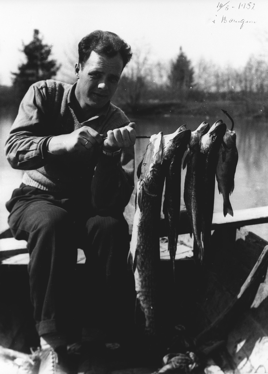 Gunnar Dahl m/fin fiskefangst i Beengen 1952.