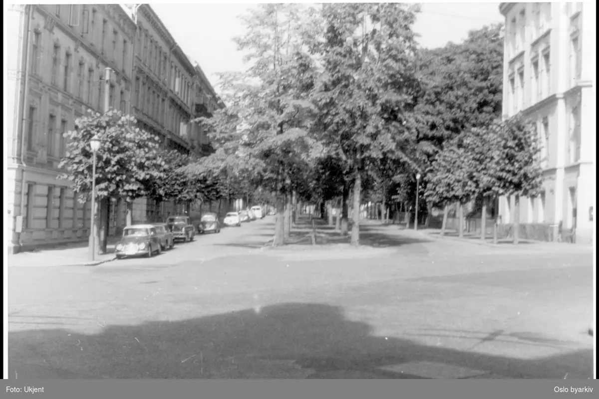 Gyldenløves gate sett fra krysset mot Niels Juels gate. Alle-trær. Biler parkert langs fortauskant. Sannsynlig fra 1960-tallet.
