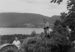 ..(Se Romsdalsmuseets årbok 2001)