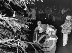 Julegrana tent på Vestnes..Trykt i RB: 30.11.1991