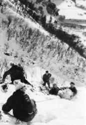 Saueberging i Vistdal februar 1966.