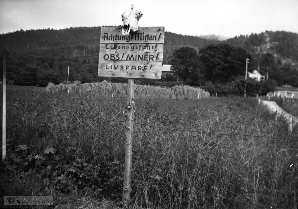 Minefeltet mellom Rotvoll og Strandheim på Bjørset..Kraniet på toppen av skiltet stammer fra ei ku som forvillet seg inn i feltet..(Se Molde bys historie bind 2)