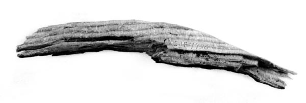 Ei snaut 16 centimeter lang flis, et fragment som skal være fra den såkalte «Dreier-stubben» (furu).