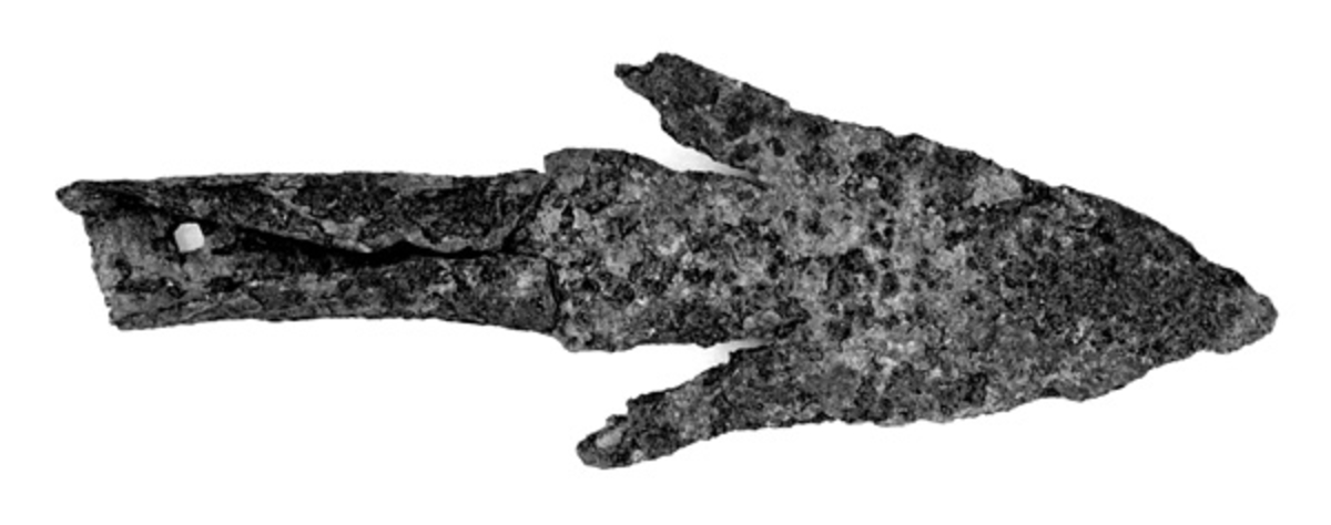 Spissen er sterkt opprustet. Den ble funnet i 1977 i sørenden av Nordre Elvåga, i slammet da vannet var nedtappet. 