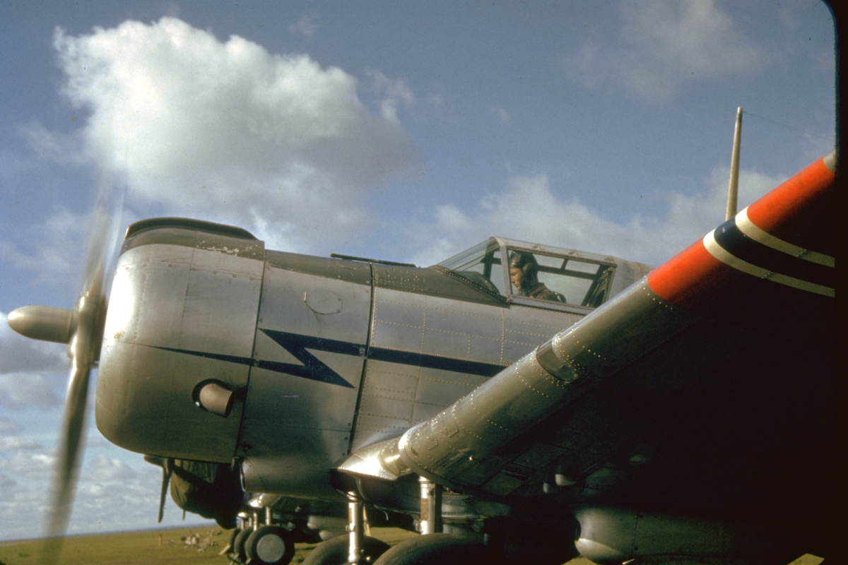 Fly: Curtis P-36 Hawk