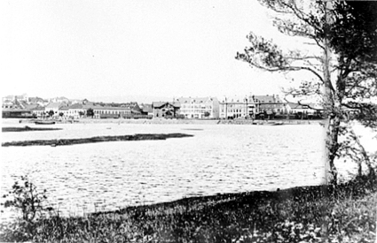Hamar, bypanorama fra Tjuvholmen, Mjøsflommen i 1895, Hamar jernbanestasjon og Jernbanebrygga,