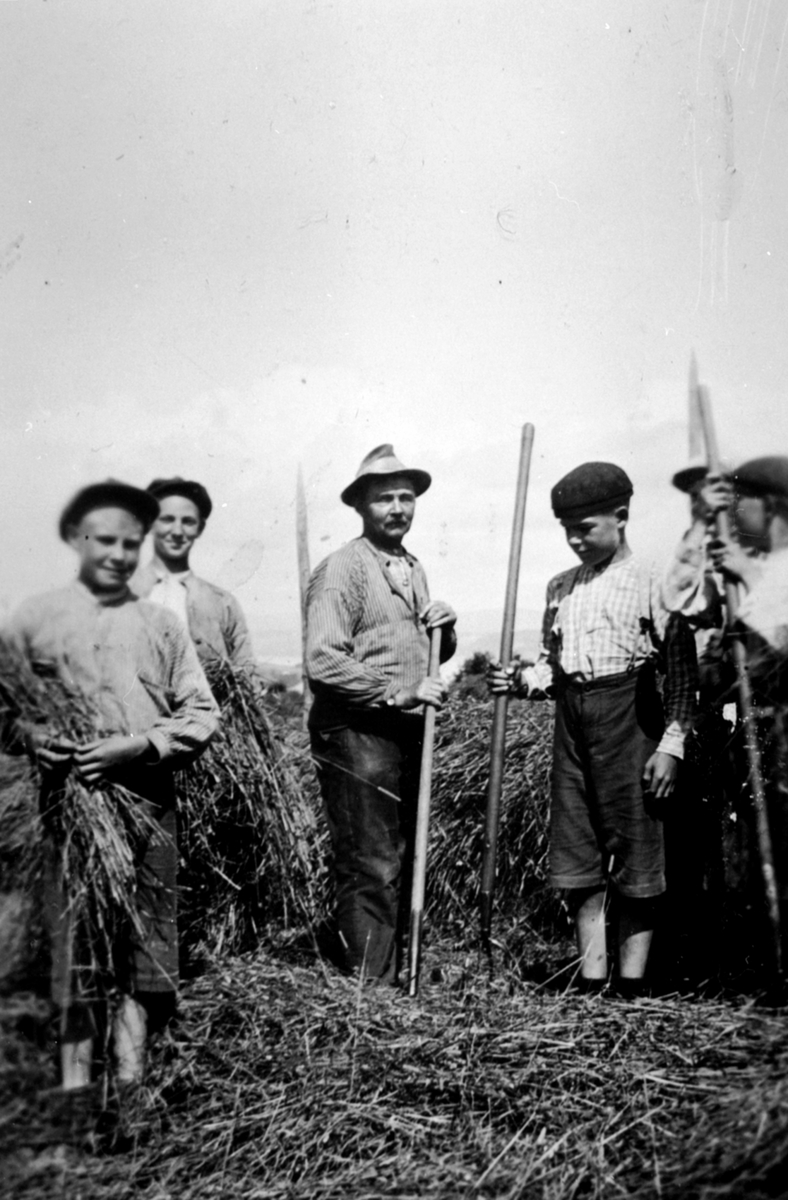 Høyonn på Toftes Gave, Nedre Sund, Helgøya. 4 gutter med høygaffel og arbeidsformann Adolf Solheim i midten.