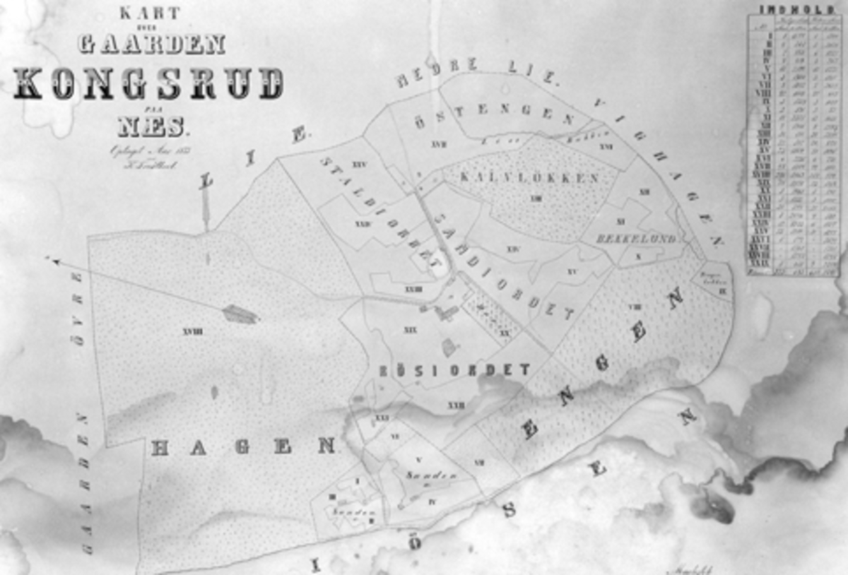 Gardskart over Kongsrud, Nes, Hedmark fra 1873.