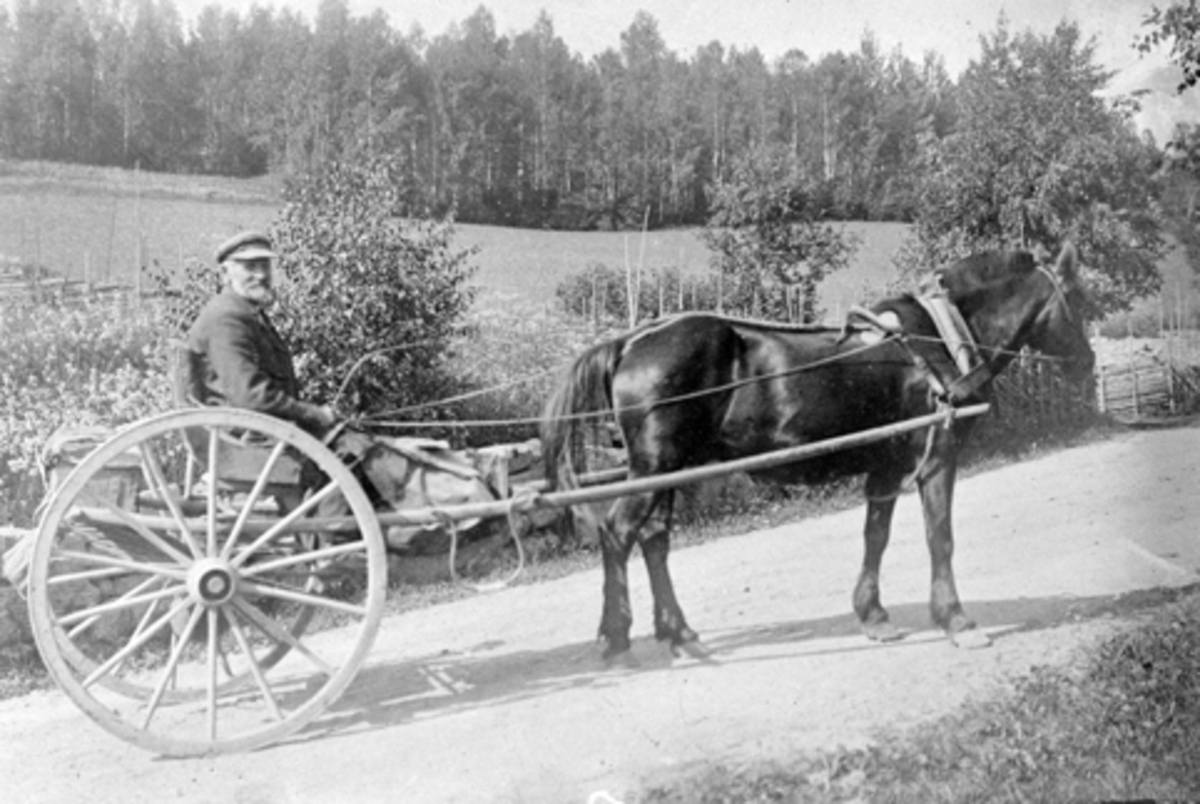 Ringsaker, Lars Haakensen Stubberud (1850-1939), postfører i Ringsaker i perioden 1874-1919. Bildet er tatt i Åsmarkvegen nedenfor Fossen gard, han hadde postruta mellom Neråaen i Åsmarka til Lille-Ringsak i kirkebygda, kjører hest med karjol,