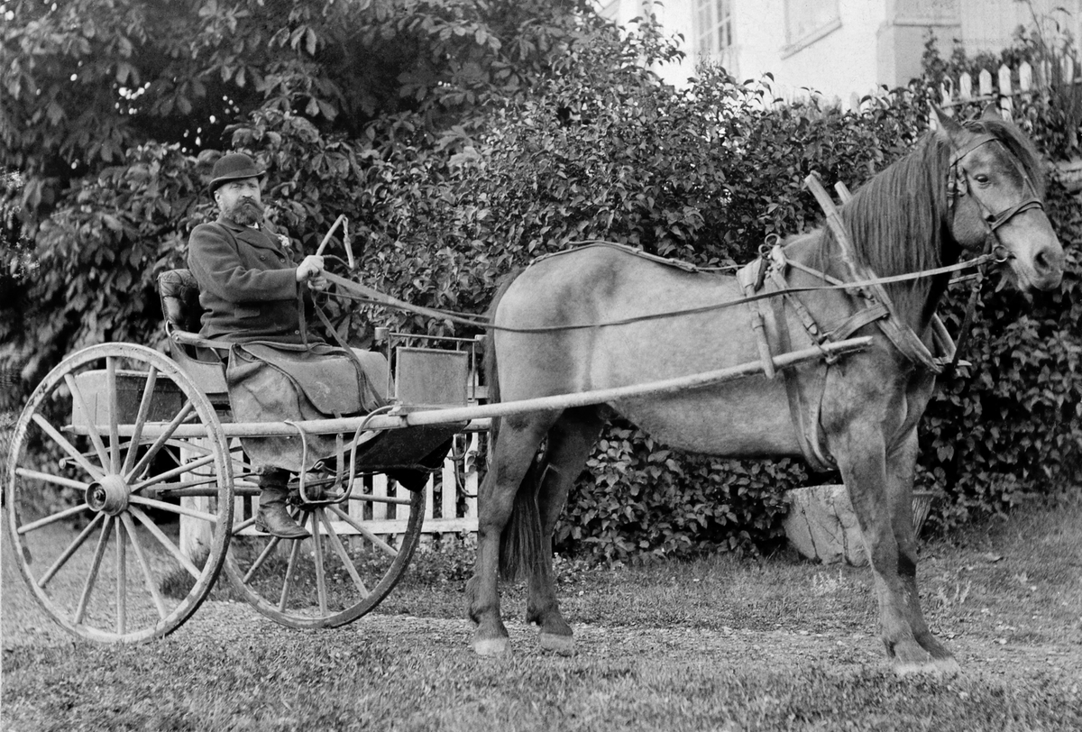 Karl Kildal (1854-1915) med hest og trill på Hoel gård, Nes, Hedmark.
