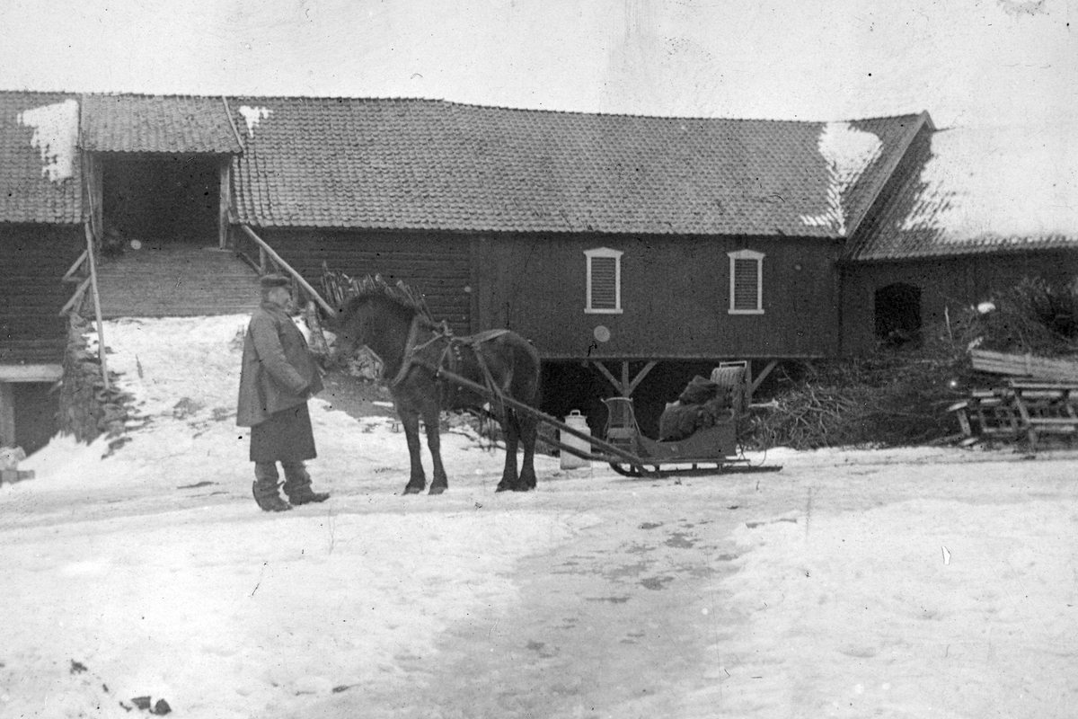 Buttekvern gard i Brumunddal, ukjent mann med hest og slede foran låven. Hestekjøretøy. 