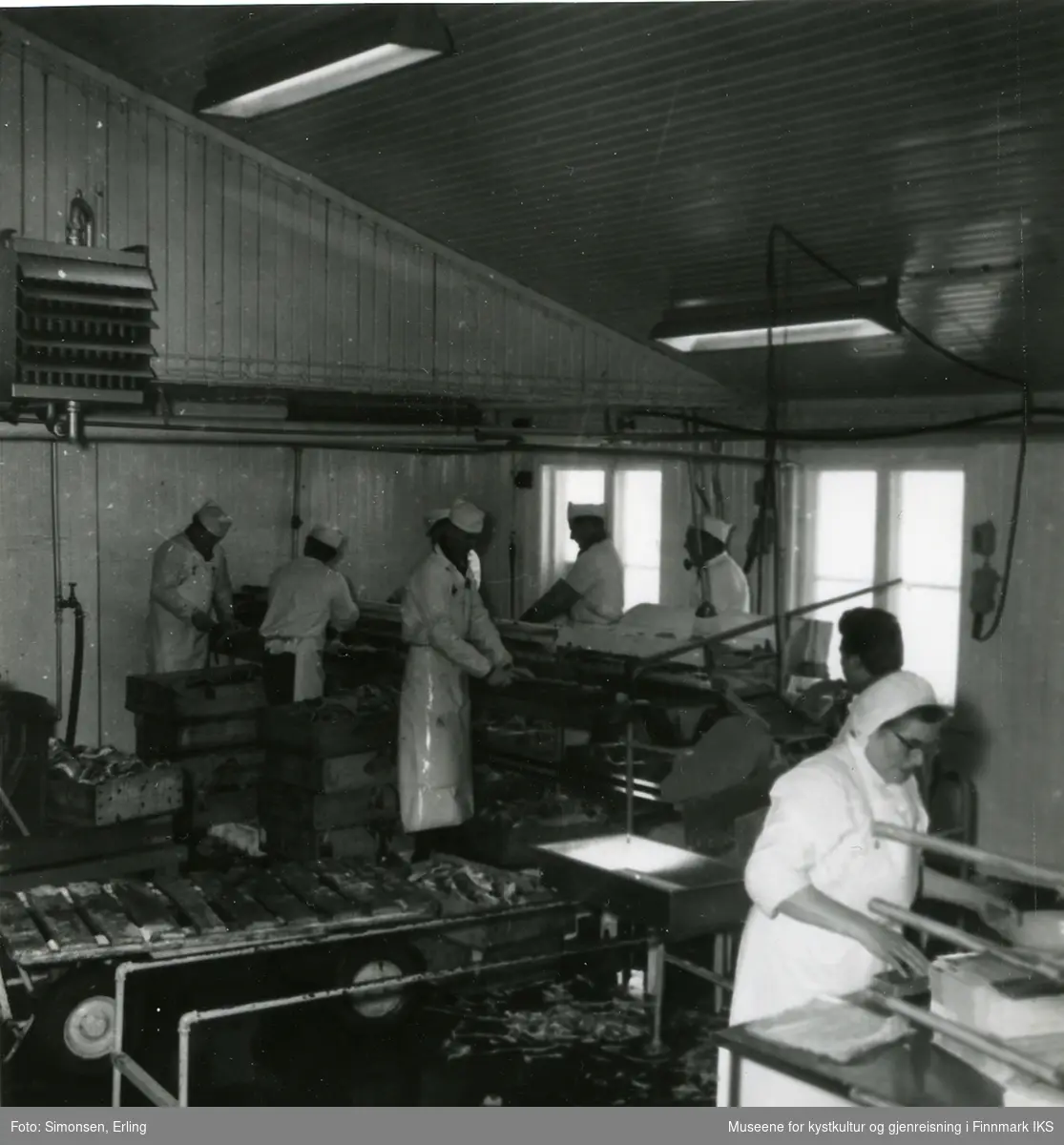 Filetarbeidere ved Fi-No-Tro anlegget i Mehamn ca 1962
Damen i forgrunn er Alida Hansen, mor til Arvid Hermann Hansen.