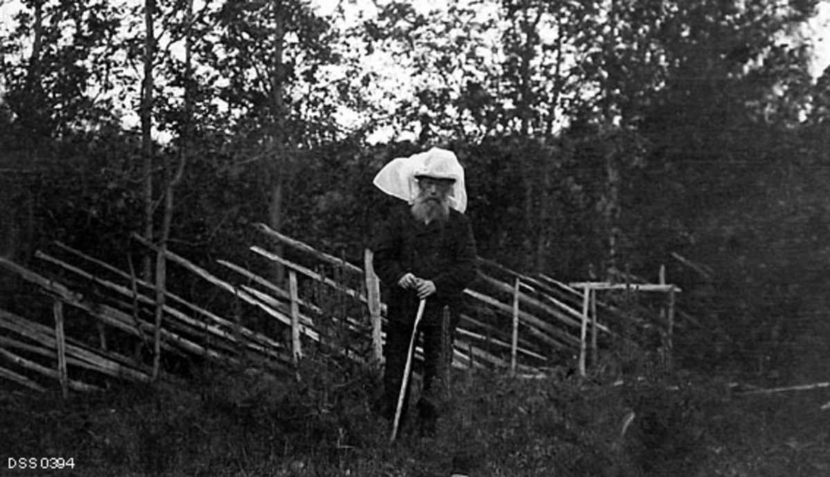 Skogfogd Peder Gjetmundsen (1855-1929) fotografert i skogen sommeren 1915, altså på et tidspunkt da denne skogfunksjonæren hadde nådd en alder av 60 år.  Han var kledd i mørk dress, hadde hatt på hodet, og over hatten var det trukket et transparent. kvitt tøystykke.   Da fotografiet ble tatt var tøystykket opptrukket, men sannsynligvis var dette en form for myggnetting som Gjetmundsen brukte for å beskytte seg mot insektplagen sommerstid.  I den ene handa holdt han en spaserstokk.  Bildet er tatt foran en skigard med lauvskog i bakgrunnen.  Peder [Per] Gjetmundsen var født i Hafslo i Sogn.  Han arbeidet som skogoppsynsbetjent i Talvik, fra 1903 skogfogd i Kvænangen.