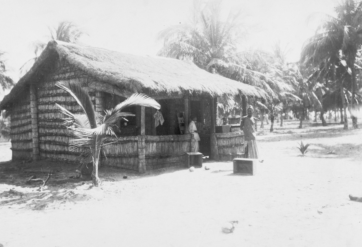 Mosambik. 1914. Fra en kokosplantasje i Quelimane-distriktet. Kan være bolighus.