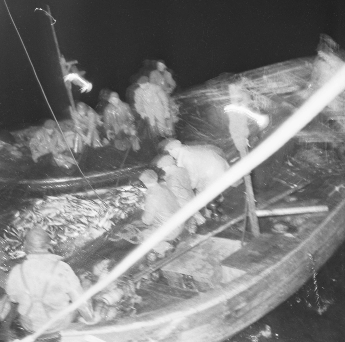Sildefiske ved Ålesund