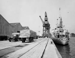 M/S Guttorm Jarl i Grimsby havn