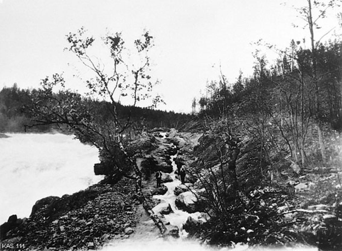 Laksetrappa ved Malangsfossen, seinere kalt Målselvfossen, i Troms. Fotografiet ble tatt i 1910, da denne passasjen, som hadde som mål å gjøre den ovenforliggende delen av vassdraget lakseførende var nybygd. Trappa ble utminert i fjellet på sørsida av fossen, og den ble om lag 425 meter lang. 

Utredningsdokumentet som forteller på hvilket grunnlag stortingspolitikerne bevilget penger til dette anlegget er gjengitt under fanen «Oplysninger».