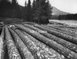 "16 loads bruk. Mjelland, Gransherad"