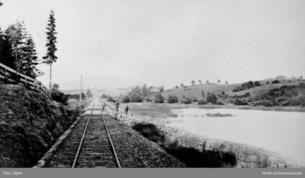 Jernbanen langs Bondivannet med Askergårdene og Skogumsåsen i bakgrunnen
