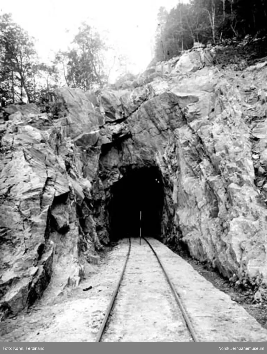 Løyning tunnel