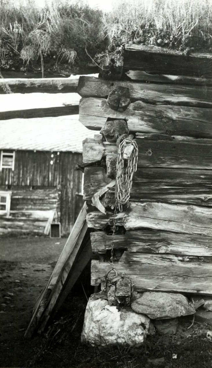 Engan, Os, Nord Østerdal, Hedmark 1941. Hjørne til liten løe i tømmer med torv på taket. Gårdsplass og annet uthus i bakgrunnen. Nå på Norsk Folkemuseum.