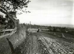 Sørkedalsveien, Oslo 1909. Mennesker spaserer på landevei, u