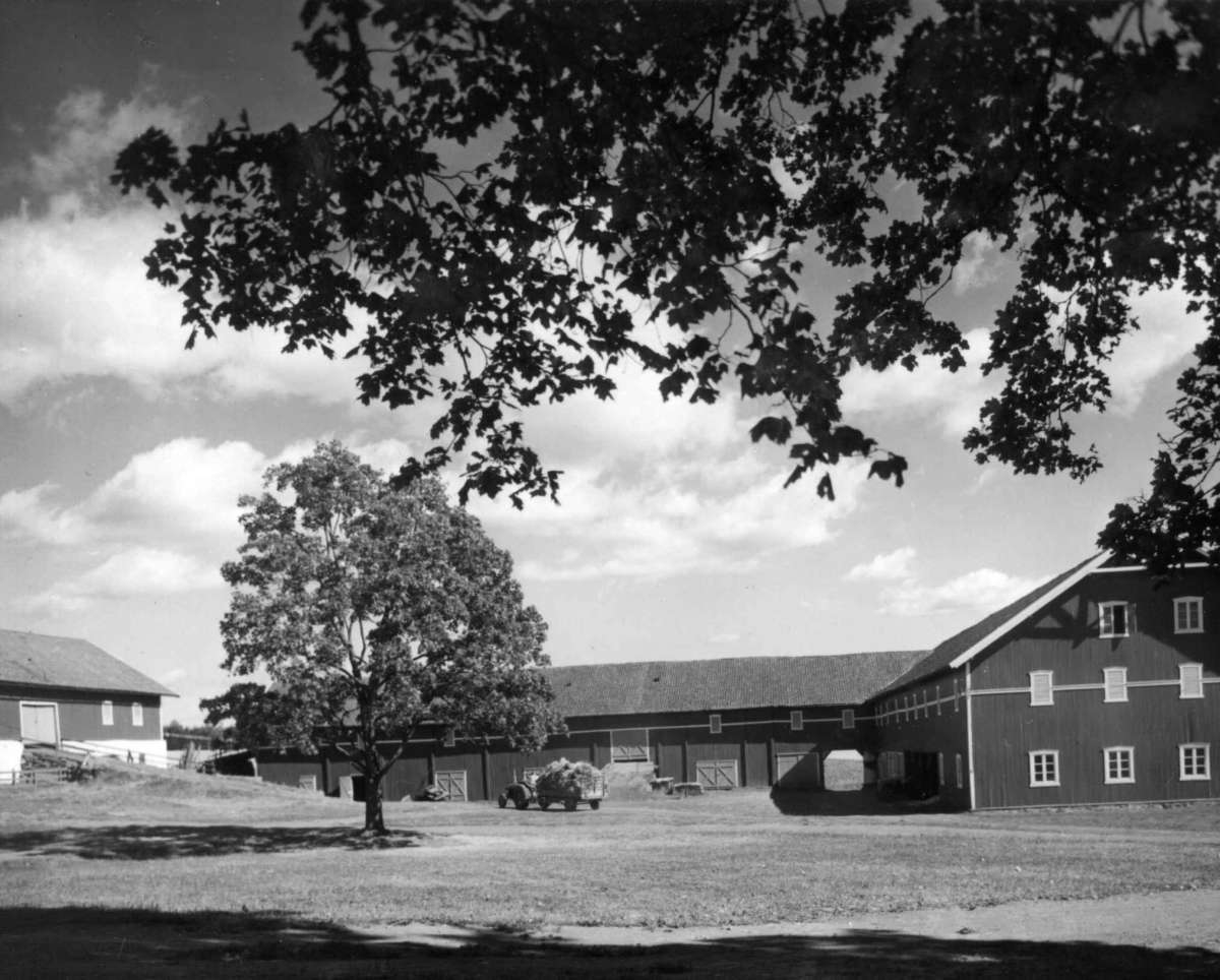 Ålstad, Hamar, Hedmark. Fra dr. Eivind S. Engelstads storgårdsundersøkelser 1959. Uthusbygninger, gårdsplass og traktor med høylass. 