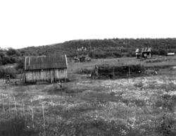 Jogar Mikkelsens gamle fjøsgamme og andre bygg, Skoltebyen 1