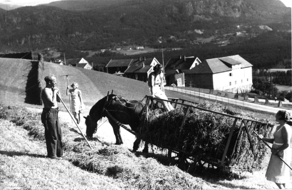 Voss 1939. Høying. Hest med høylass. Kvinne tråkker lasset. Mann, kvinne og jente med river.
Gårder i bakgrunnen.