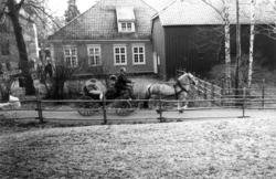 Julemarked 1987. Øyvind Kristoffersen og hesten Laila.