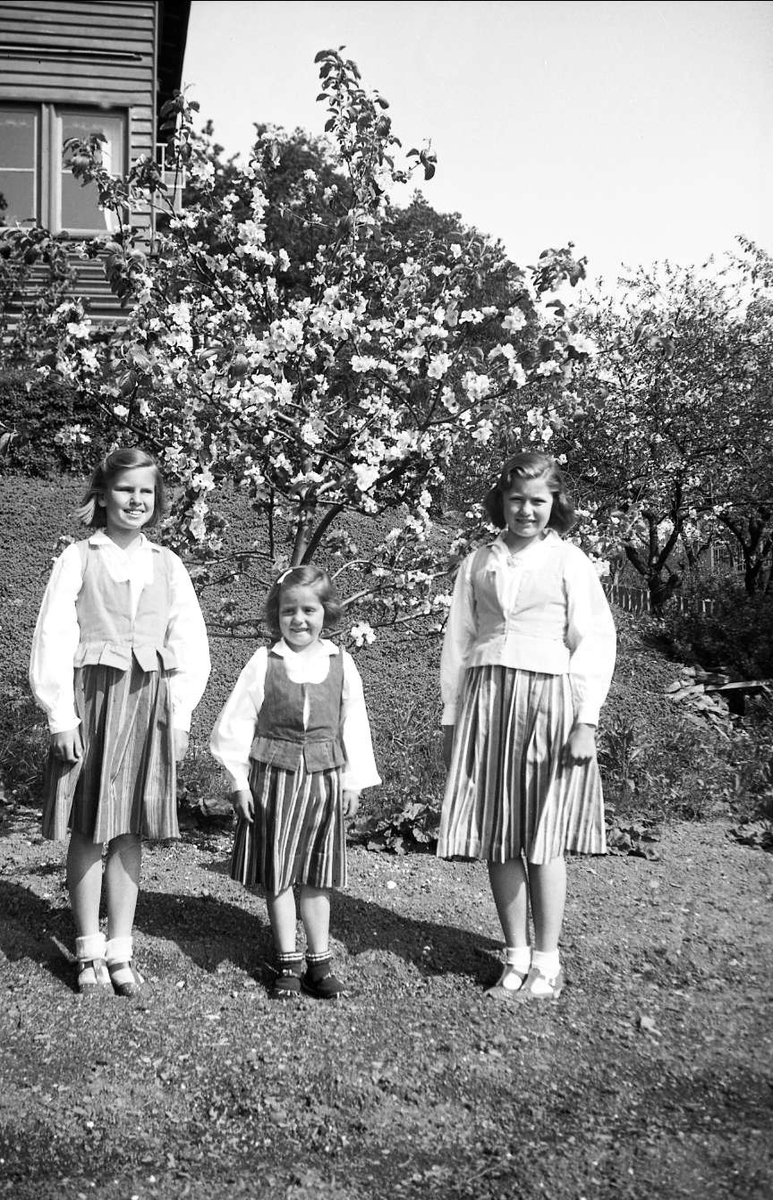 Søstrene Arentz, Fra venstre Siri, Kari og Guri, festpyntet i hagen på Bygdøy 1942. Blomstrende frukttær ses i bakgrunnen.