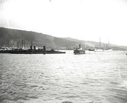 Dampskip og ferje Bergens havnebaseng.