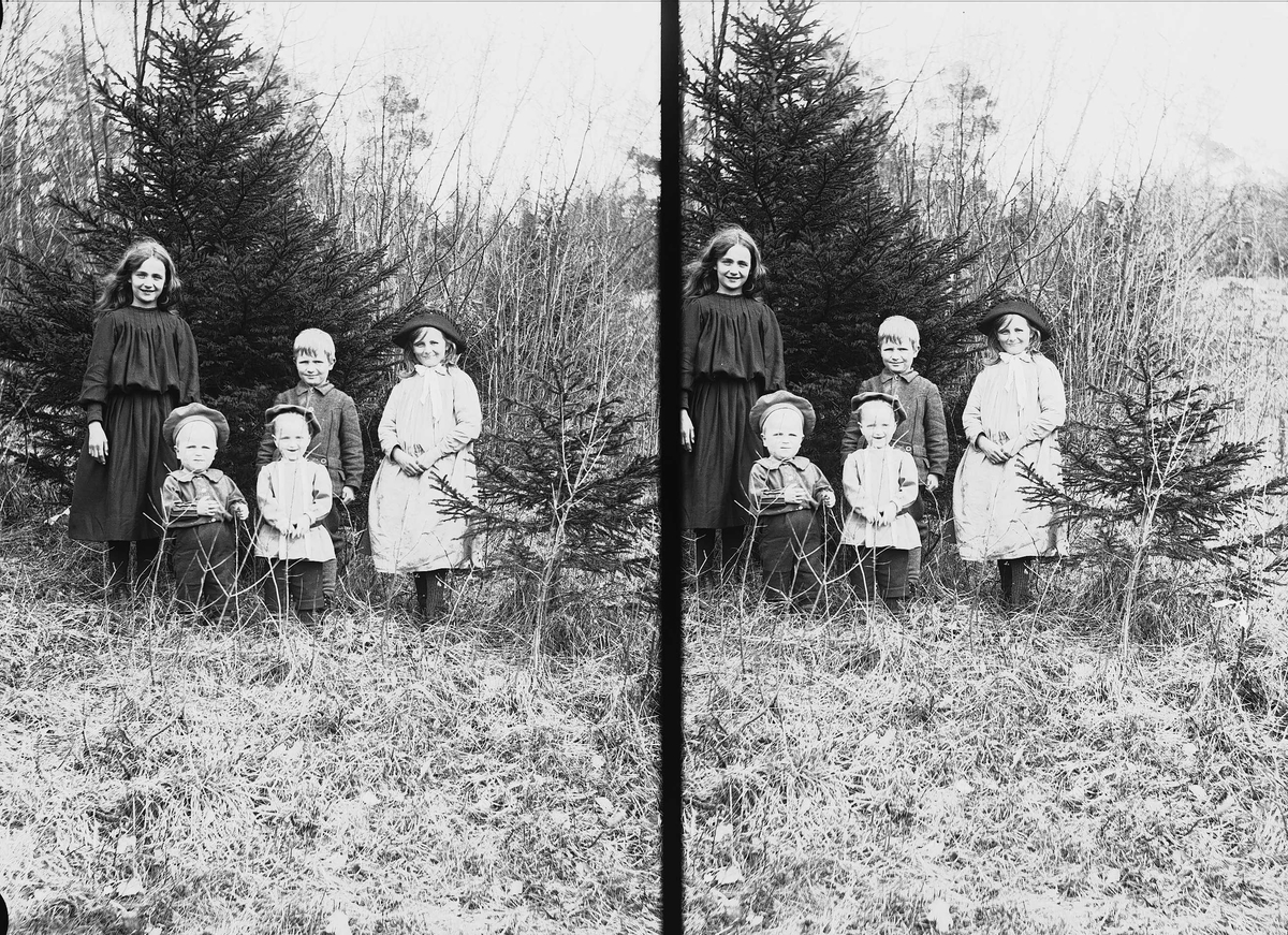 Gruppeportrett av fem søsken Q. Wiborg i krattskogen, Digerud, Frogn, Akershus, 1906. Fra venstre ant. Karen, Thor, Halvor Nicolai (foran), Axel og Gudrun.