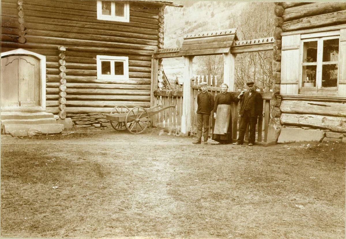 Gårdstun, Veggum, Sel, Oppland. Persongruppe poserer foran port, kjerre oppstilt. Fotografert 1910.
