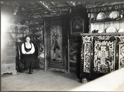 Vegg- og takmaling i oppstuen, Ryen, Heddal, Notodden, Telem