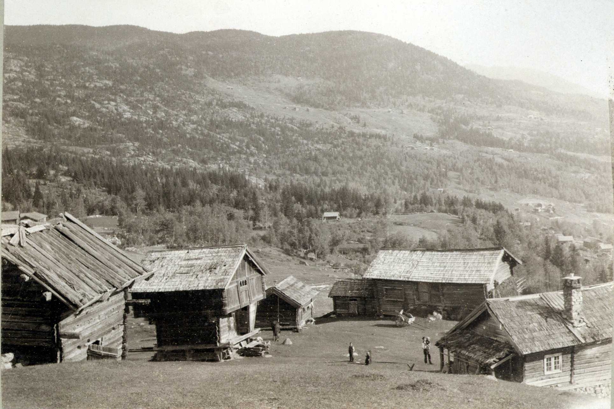 Gårdstun, Hovdejord, Hjartdal, Telemark. Fotografert 1909.
