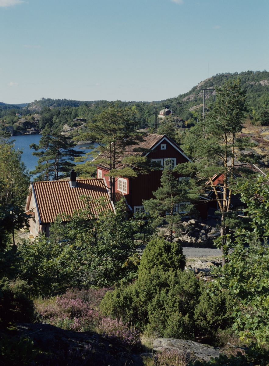 Bolig ligger vakkert i terrenget ved Normannsvik utenfor Tvedestrand. Illustrasjonsbilde fra Bonytt 1986.