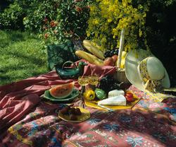 Provence-stoffer.  Illustrasjonsbilde fra Nye Bonytt 1989.