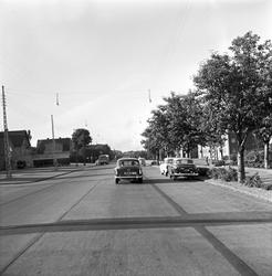 Veireportasje i Danmark. Fotografert 6. juni 1959.