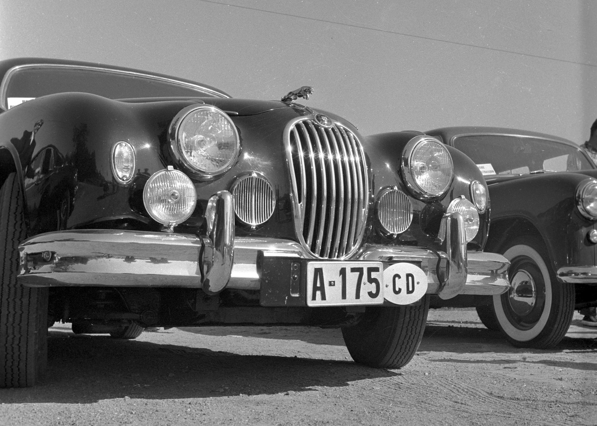 Serie. Bilutstilling av Engelske biler som Vauxhall Velox på Frognerseteren, Oslo. Fotografert 4. september 1956.