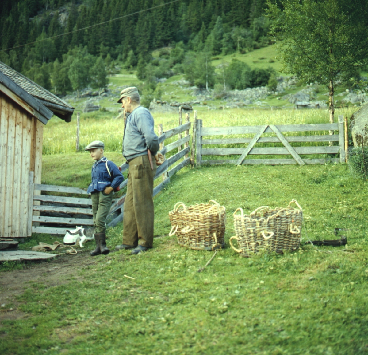 ål i hallingdal