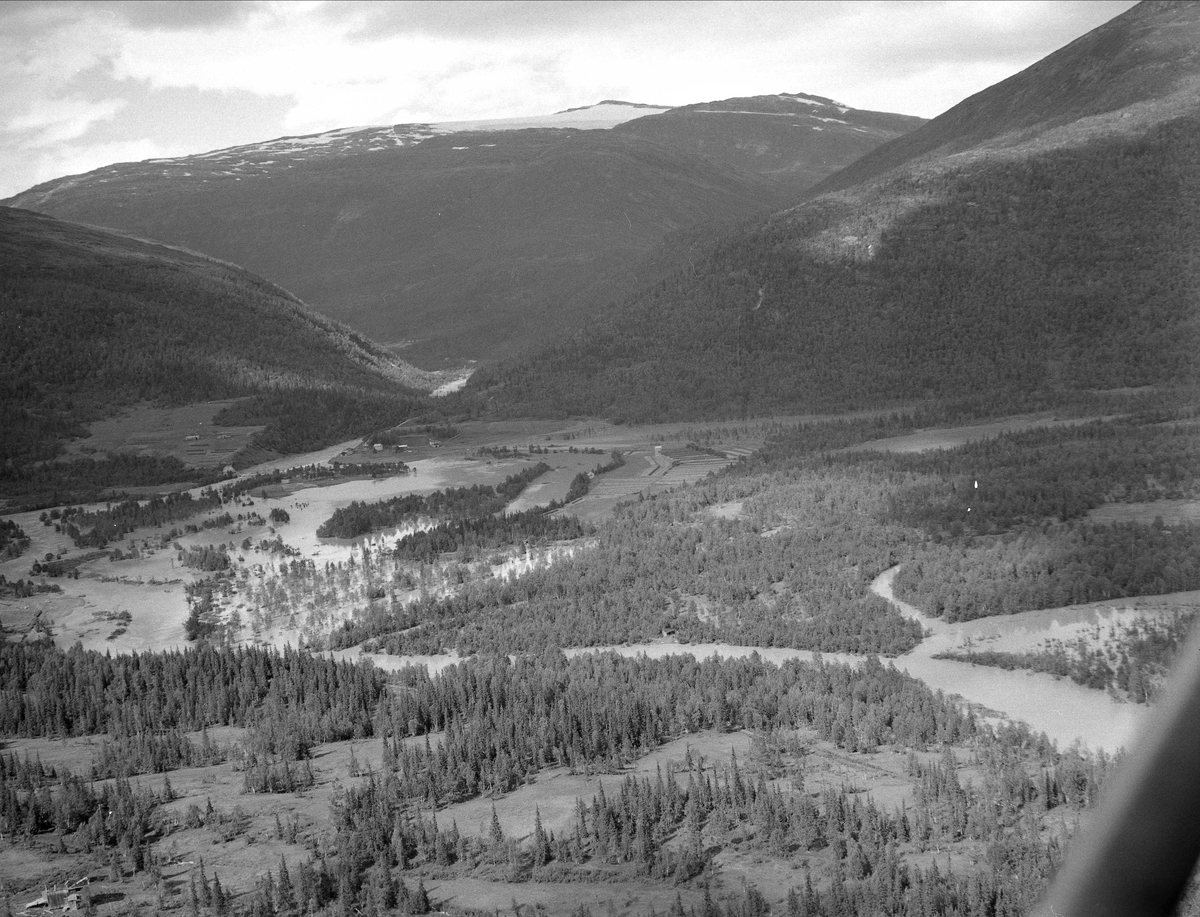 Svartisdalen, Meløy kommune, Nordland, 09.08.1954. Flyfoto, oversvømmelse i Svartisdalen.