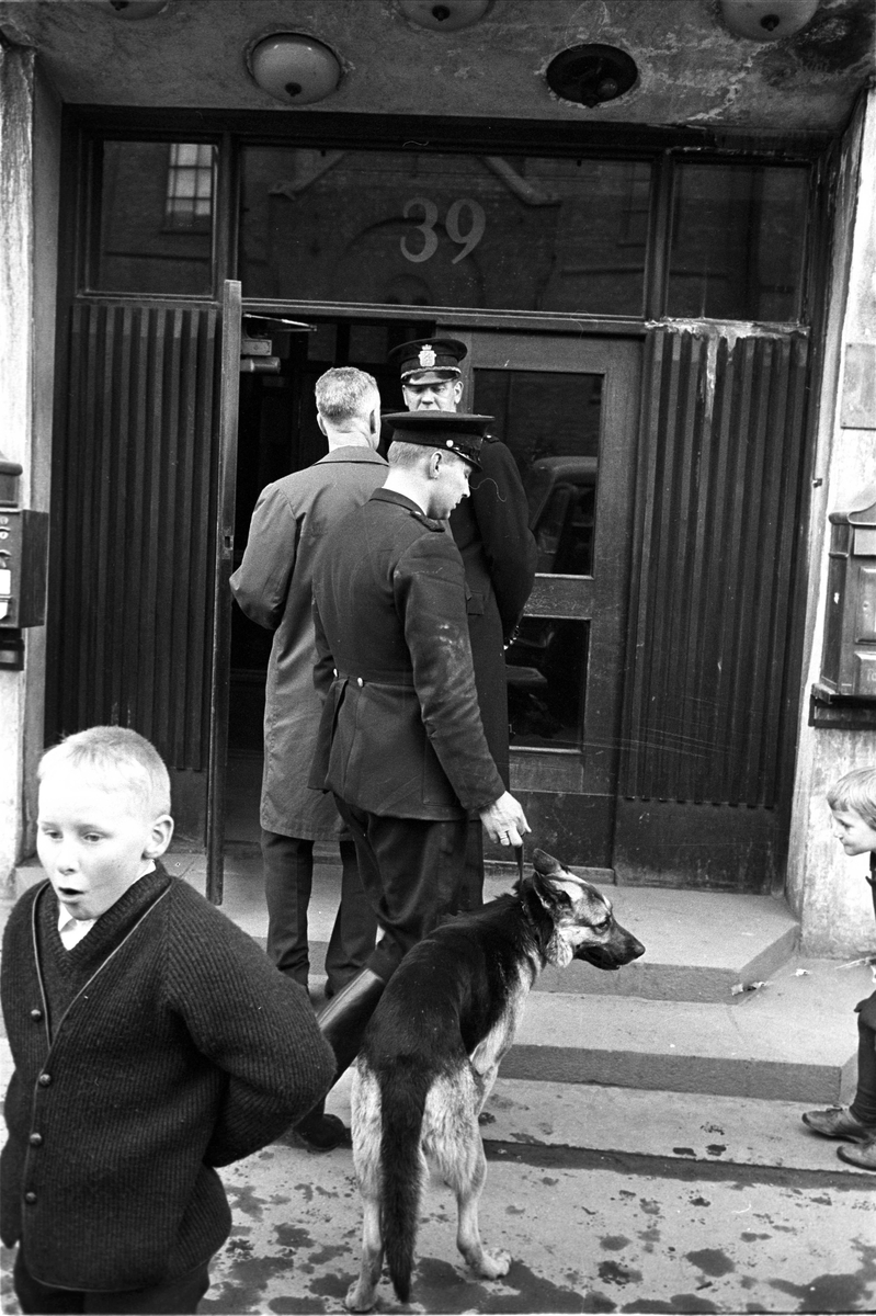 Ran på postkontor i Grønlandsleiret 39. Oslo, mai 1963. Politi med hund, inngangspartiet.