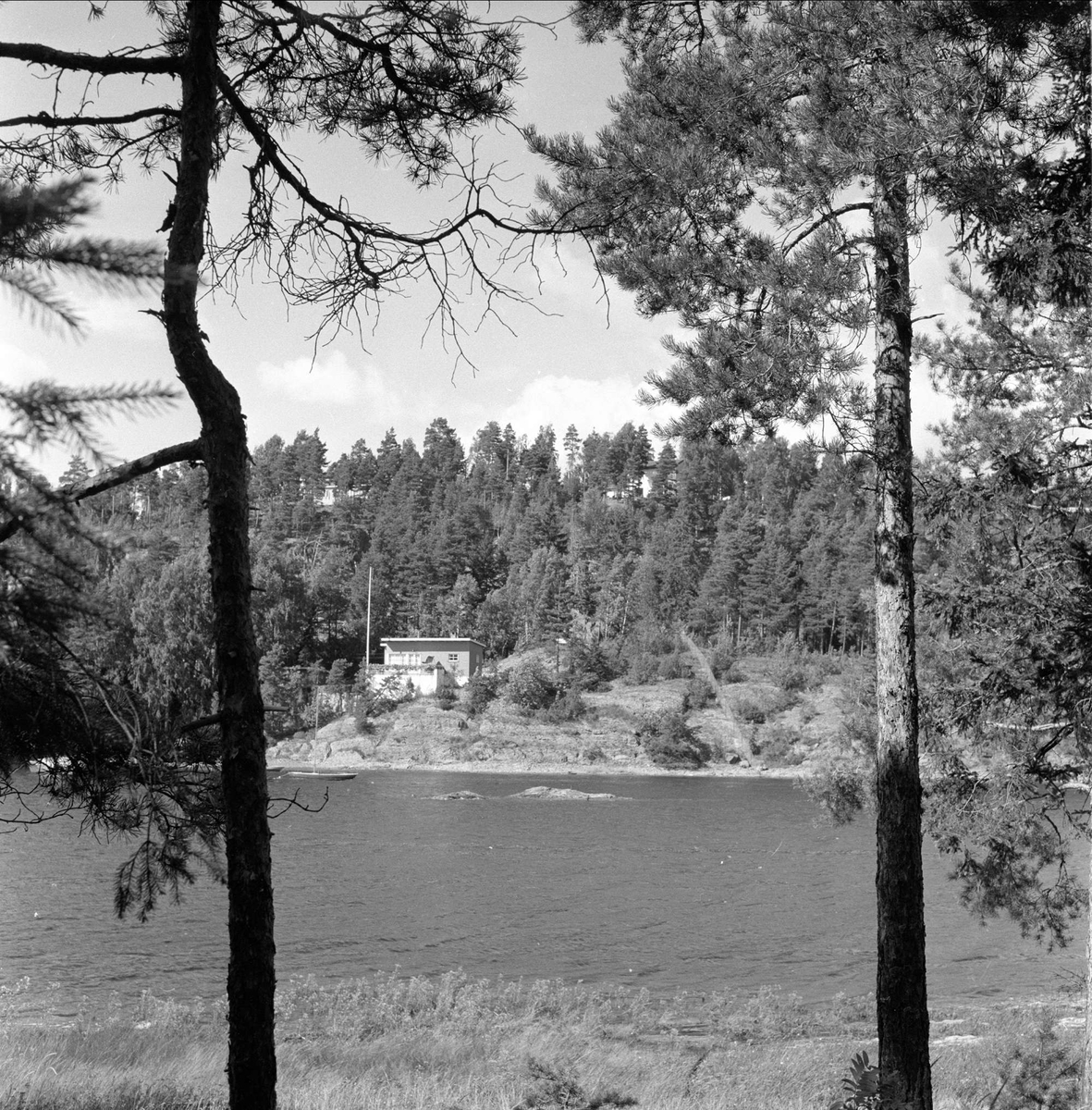 Brønnøya, Asker, 24.08.1957.  Landskap med hytte.