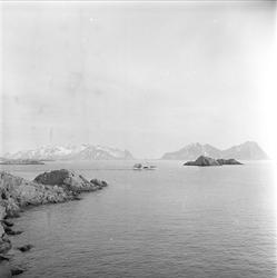 Lofoten, Nordland, april 1963. Båt på sjøen.
