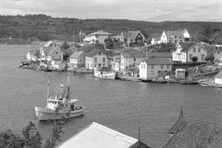Lyngør, september 1962, utsikt over bebyggelsen, fraktebåt p