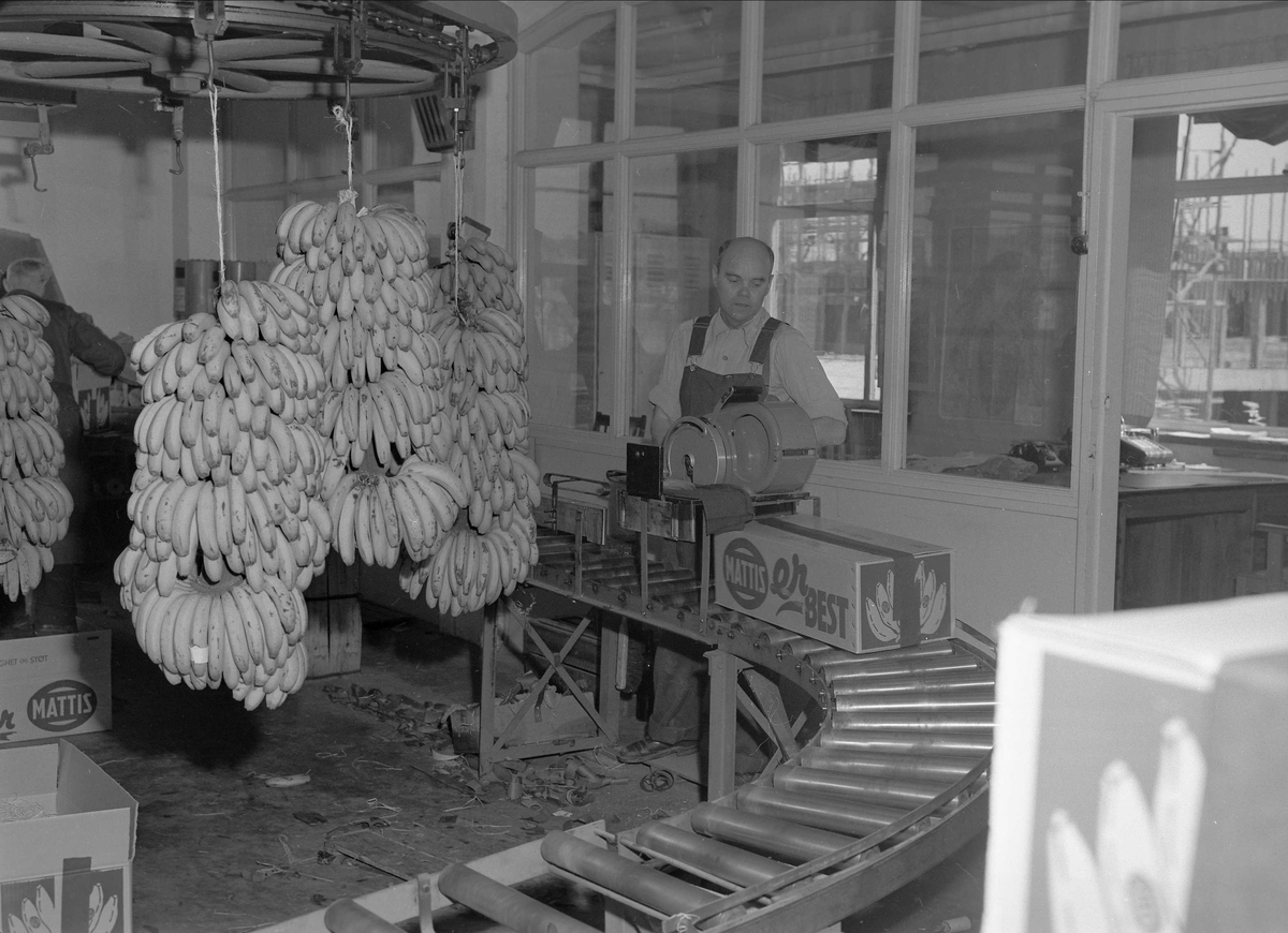 Oslo, 01.06.1956, Banan-Mathiesen, fra bananmodneriet.